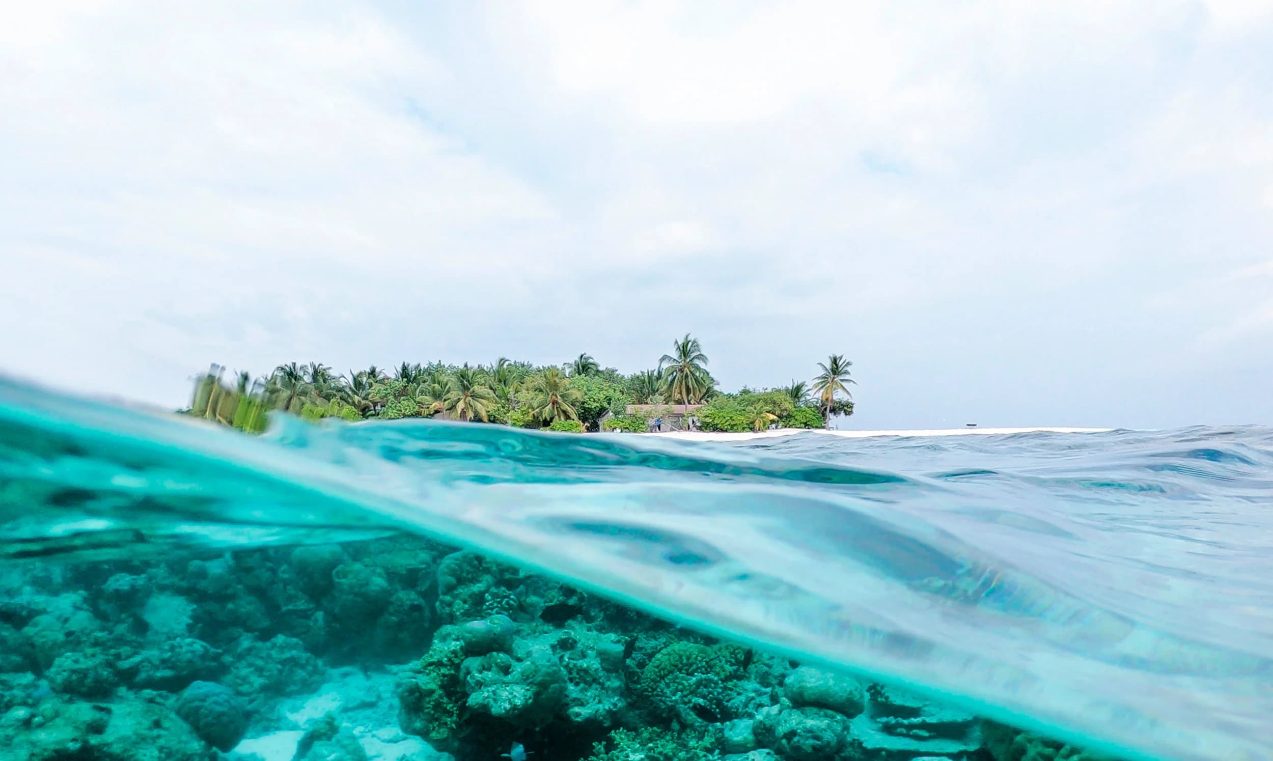 Freediving underwater